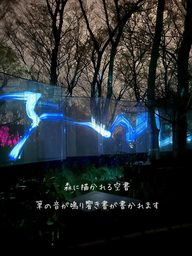 【大阪】自然とART 野外ミュージアム チームラボ🌳ボタニカルガーデン🌳