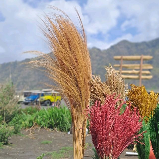 JOURNEY TO BROMO : THE SEA OF SAND