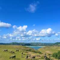 「石次郎海岸：賞心悅目的大自然美景，盡情徜徉於廣袤沙灘」