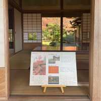【佐賀観光】秋のおすすめスポット