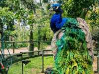 Birdland Animal Park