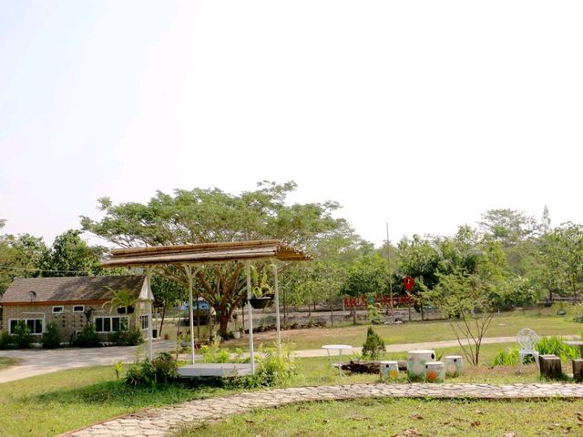 มาหาน้องหมาชามอยด์ ที่ Mesook farm