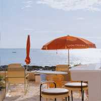 CASA TROPIKA แลนด์มาร์กใหม่บางแสน