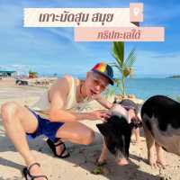 🐷เที่ยวเกาะสมุย ถ่ายรูปกับหมู เกาะมัดสุม