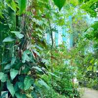 「沖繩東南植物樂園：珍稀植物，科普教育，豐富遊園體驗」