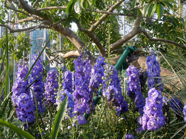 深圳公園好去處：筆架山