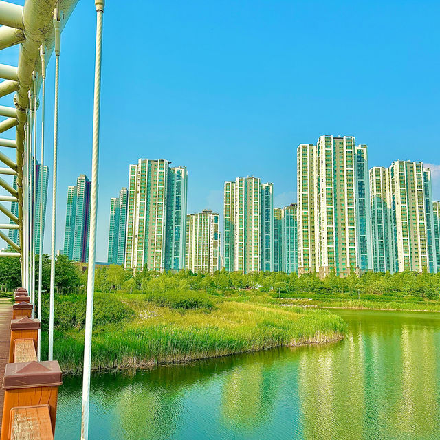 드라마 ‘도깨비’ 촬영지로 유명한 청라호수공원🏞️