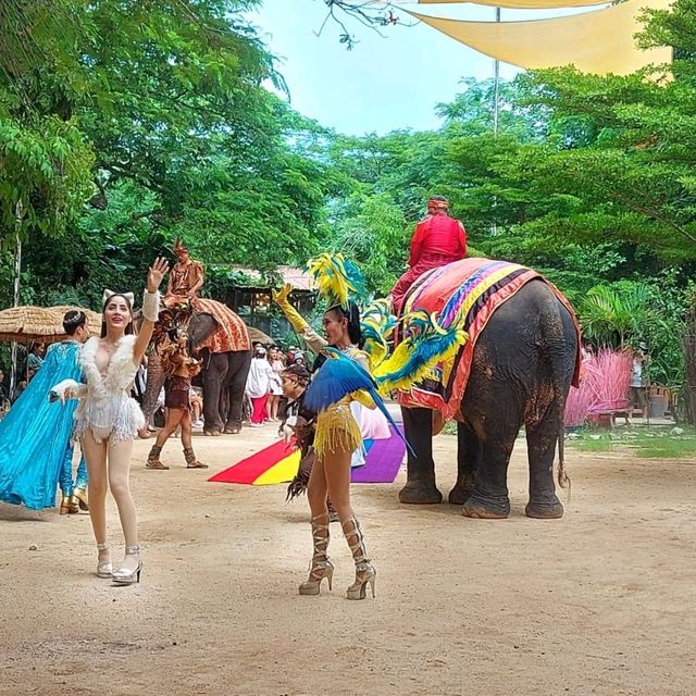 คาเฟ่ที่ทุกคนต้องมา...มองช้าง คาเฟ่
