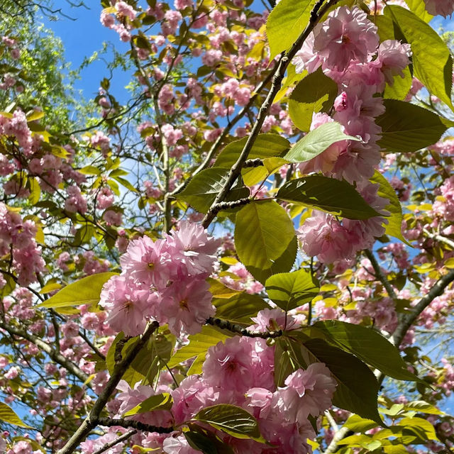 丘吉爾莊園：春日美景浪漫約會的絕佳去處