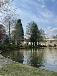 愛知　有料クオリティを無料で楽しめる庭園💐