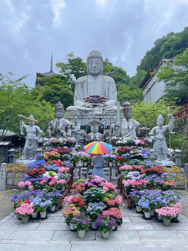圧巻！大仏様とカラフルな紫陽花のコラボ🤗💠💐✨