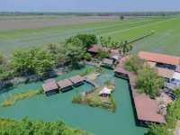บ้านปายนา คาเฟ่ทุ่งนานครปฐม 🌾