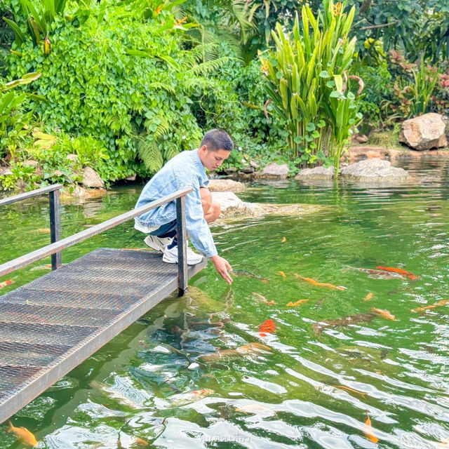 ที่พักเขาใหญ่ท่ามกลางธรรมชาติและขุนเขา มาดีปากช่อง