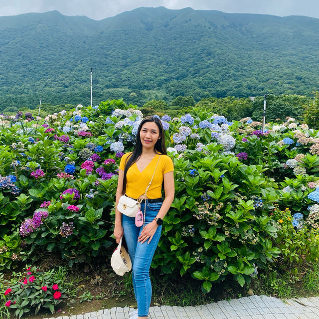 with beautiful flowers near the mountains❤️