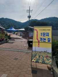 여름꽃놀이 탑티어 해바라기축제🌻
