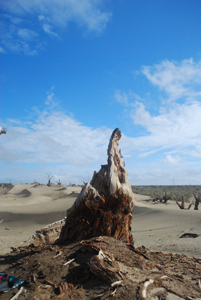 Taklamakan Desert