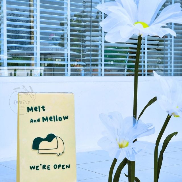 🥤Melt and Mellow
