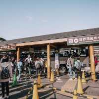 เยือนจุดชมวิวธรรมชาติสุดฮิต ในเมือง Nikko