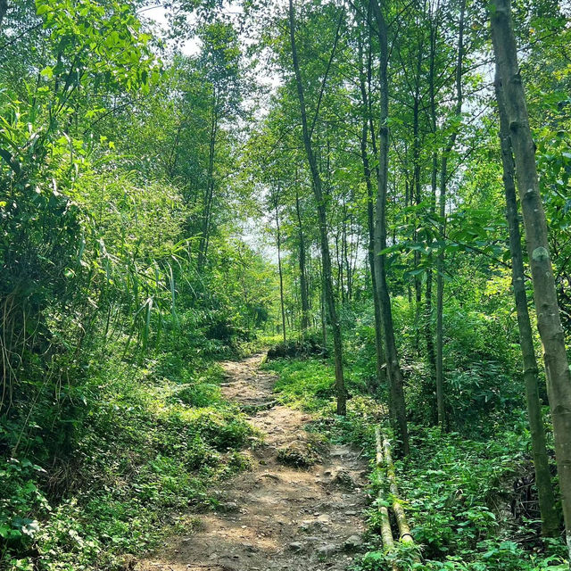 法華滝：感受大自然的力量