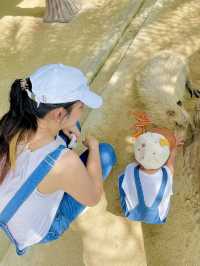 ตะลุยสวนสัตว์ Sriayuthaya Lion Park