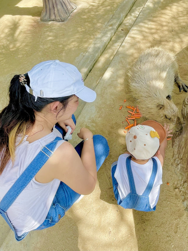 ตะลุยสวนสัตว์ Sriayuthaya Lion Park