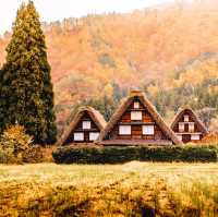 จังหวัด Gifu (岐阜) เมืองแห่งธรรมชาติ  