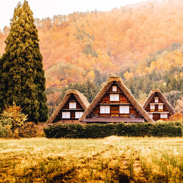 จังหวัด Gifu (岐阜) เมืองแห่งธรรมชาติ  