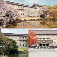 「東京國立博物館：日本歷史文物，特展吸引遊客」