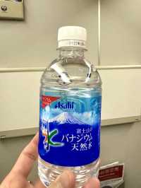 東京　東京観光　JAL便でSingaporeチャンギ国際空港へ快適フライト！