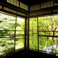 【🇯🇵京都】🍁息を呑む美しいリフレクション
