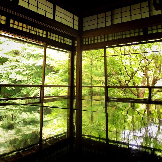 【🇯🇵京都】🍁息を呑む美しいリフレクション