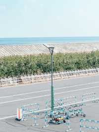 自転車が乗り放題の青空サイクリングスポット✨