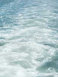 【海を走る列車!?】気分転換間違いなしの遊覧船🚢✨