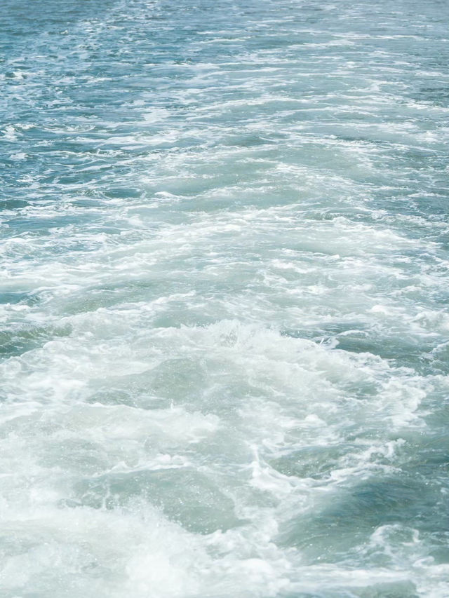 【海を走る列車!?】気分転換間違いなしの遊覧船🚢✨
