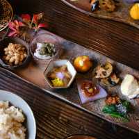 Experience the Timeless Beauty of Akita