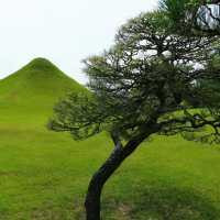 福岡三寶院：歷史古蹟，禪意氛圍，感受大自然恬靜與祥和