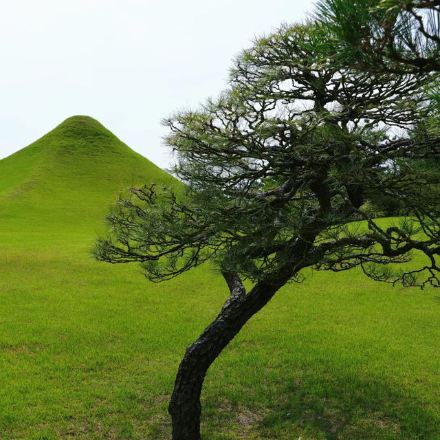 福岡三寶院：歷史古蹟，禪意氛圍，感受大自然恬靜與祥和