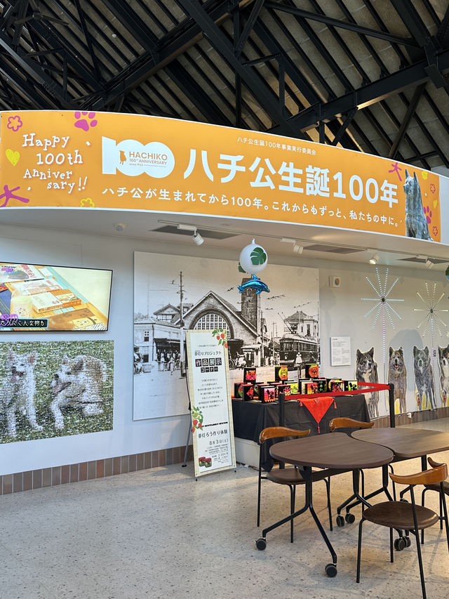 【秋田】忠犬ハチ公の故郷🐕
