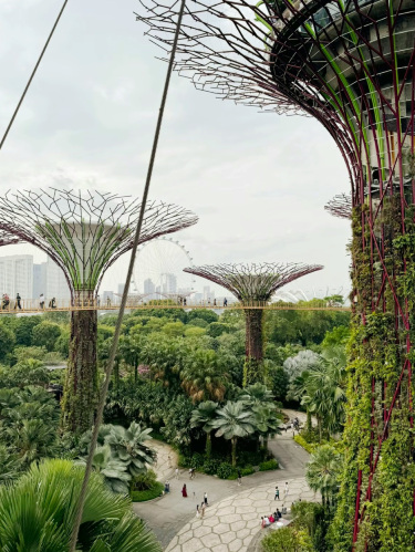 ocbc sky way!巨大な人工ツリーの間を空中散歩🚶 | Trip.com シンガポール
