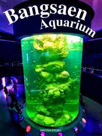 𝐁𝐚𝐧𝐠𝐬𝐚𝐞𝐧 𝐀𝐪𝐮𝐚𝐫𝐢𝐮𝐦 🐟🐠