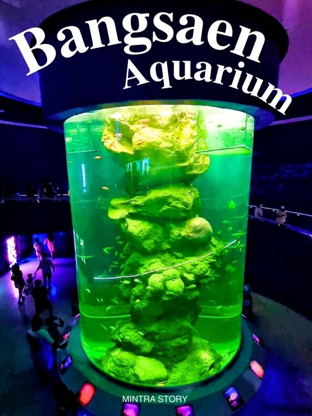 𝐁𝐚𝐧𝐠𝐬𝐚𝐞𝐧 𝐀𝐪𝐮𝐚𝐫𝐢𝐮𝐦 🐟🐠
