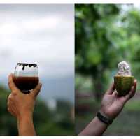 ที่พักสำหรับคนรักโกโก้ Cocao Valley resort น่าน