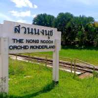 One Day Trip - ตะลุยโลกไดโนเสาร์ที่พัทยา