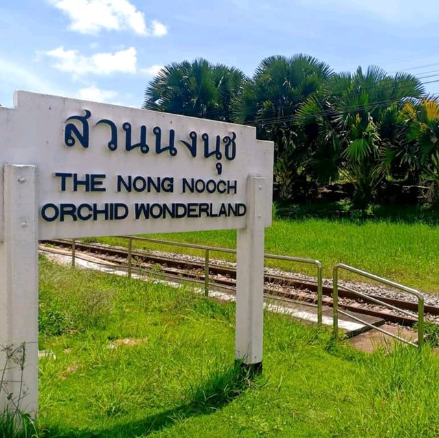 One Day Trip - ตะลุยโลกไดโนเสาร์ที่พัทยา