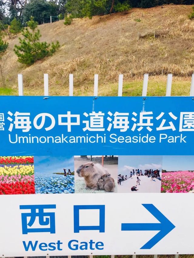 海之中道海濱公園 