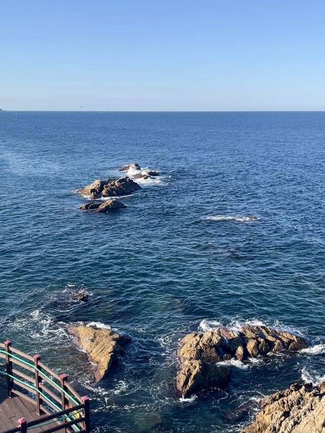 푸른 동해바다를 온몸으로 느낄수 있는 곳!
