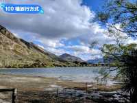 紐西蘭南島-佇立於瓦納卡湖中的孤獨之樹：that wanaka tree