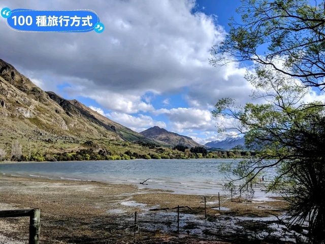 紐西蘭南島-佇立於瓦納卡湖中的孤獨之樹：that wanaka tree