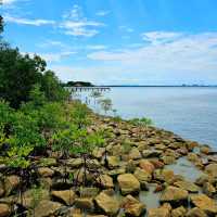 "Discovering the Natural Beauty of Tanjung Piai"