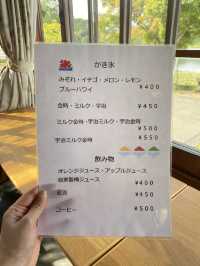 【小野市】夏限定かき氷とまるで一枚絵のような眺め